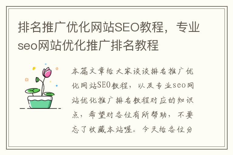 排名推广优化网站SEO教程，专业seo网站优化推广排名教程