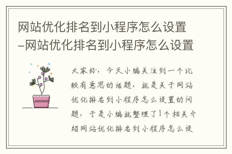 网站优化排名到小程序怎么设置-网站优化排名到小程序怎么设置不了