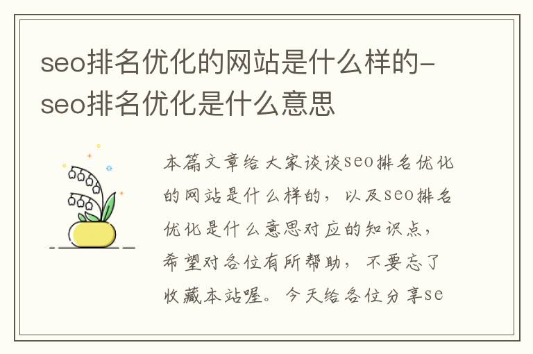 seo排名优化的网站是什么样的-seo排名优化是什么意思