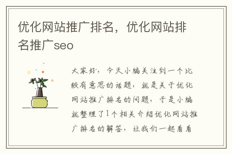 优化网站推广排名，优化网站排名推广seo