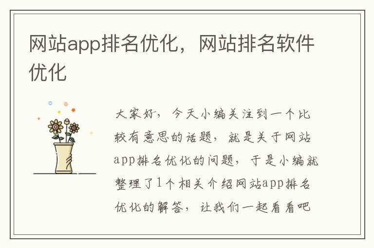 网站app排名优化，网站排名软件优化