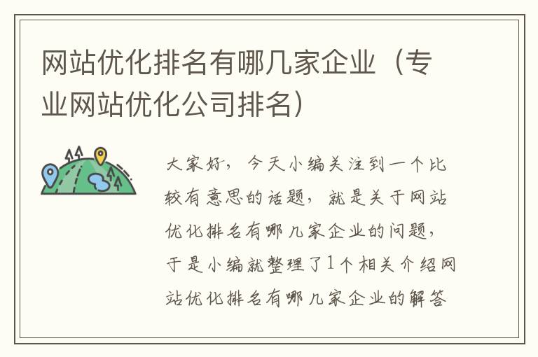 网站优化排名有哪几家企业（专业网站优化公司排名）