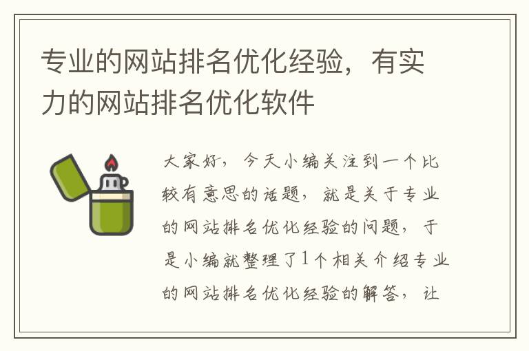 专业的网站排名优化经验，有实力的网站排名优化软件