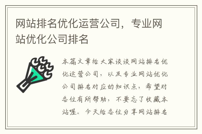 网站排名优化运营公司，专业网站优化公司排名