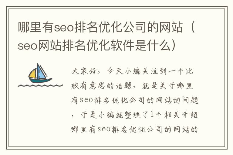 哪里有seo排名优化公司的网站（seo网站排名优化软件是什么）