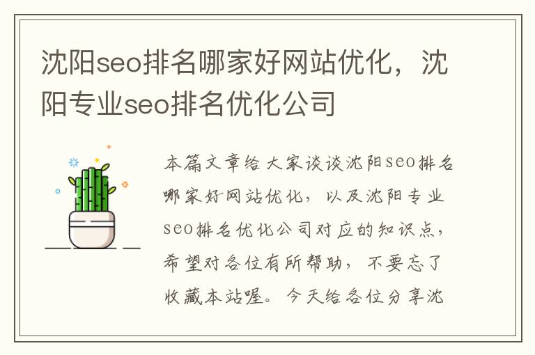 沈阳seo排名哪家好网站优化，沈阳专业seo排名优化公司