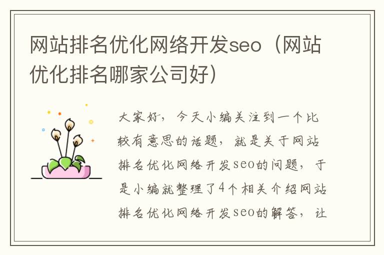 网站排名优化网络开发seo（网站优化排名哪家公司好）