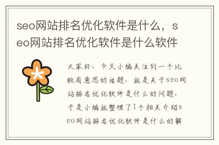 seo网站排名优化软件是什么，seo网站排名优化软件是什么软件