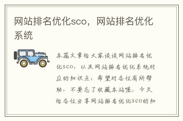 网站排名优化sco，网站排名优化系统