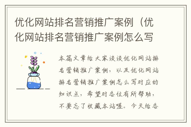 优化网站排名营销推广案例（优化网站排名营销推广案例怎么写）