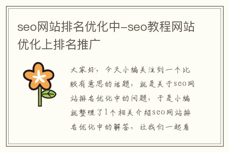 seo网站排名优化中-seo教程网站优化上排名推广