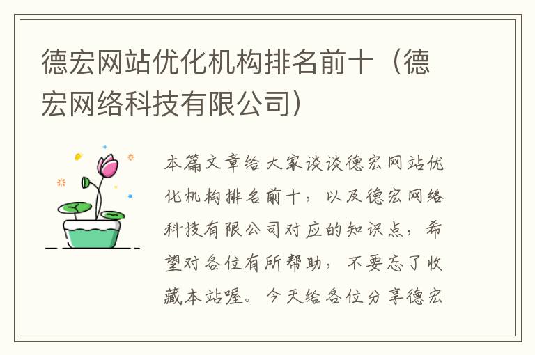 德宏网站优化机构排名前十（德宏网络科技有限公司）