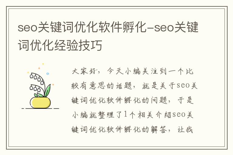 seo关键词优化软件孵化-seo关键词优化经验技巧