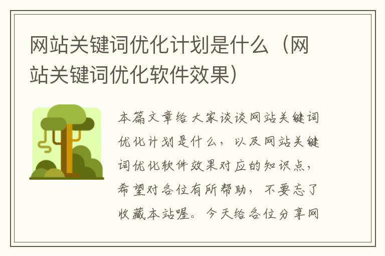 网站关键词优化计划是什么（网站关键词优化软件效果）