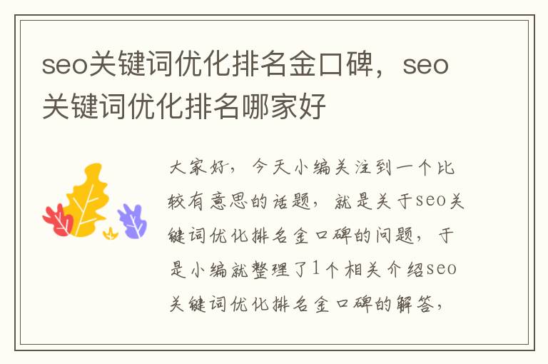 seo关键词优化排名金口碑，seo关键词优化排名哪家好