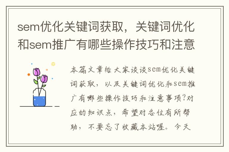 sem优化关键词获取，关键词优化和sem推广有哪些操作技巧和注意事项?