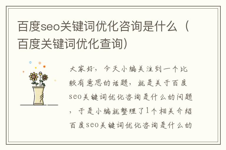 百度seo关键词优化咨询是什么（百度关键词优化查询）