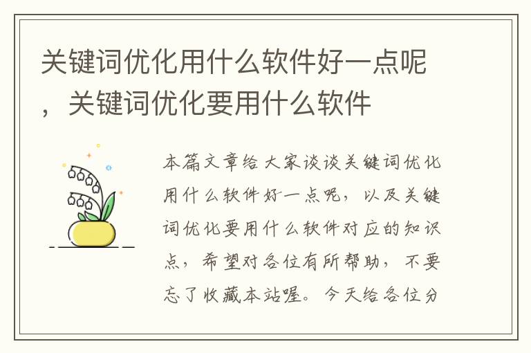 关键词优化用什么软件好一点呢，关键词优化要用什么软件