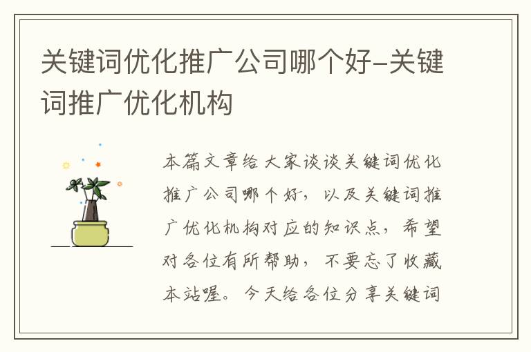 关键词优化推广公司哪个好-关键词推广优化机构