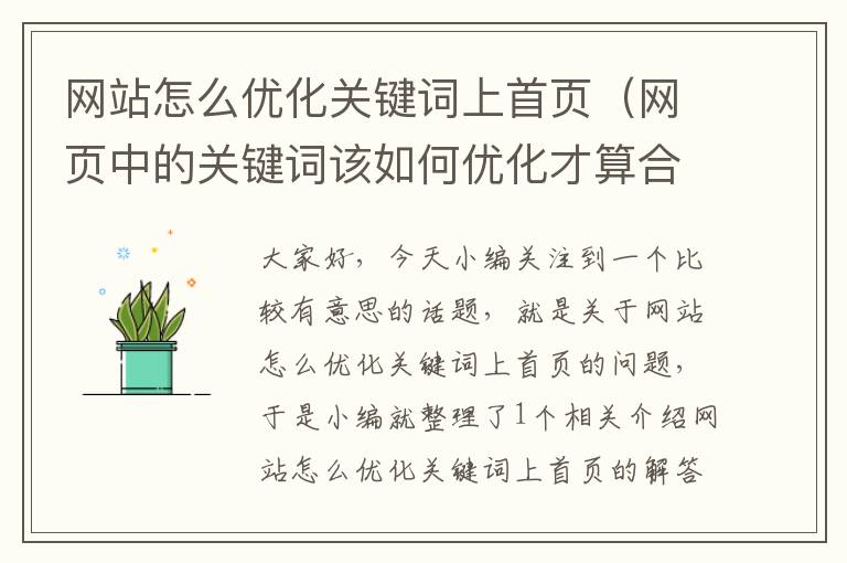 网站怎么优化关键词上首页（网页中的关键词该如何优化才算合理）