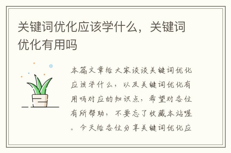 关键词优化应该学什么，关键词优化有用吗