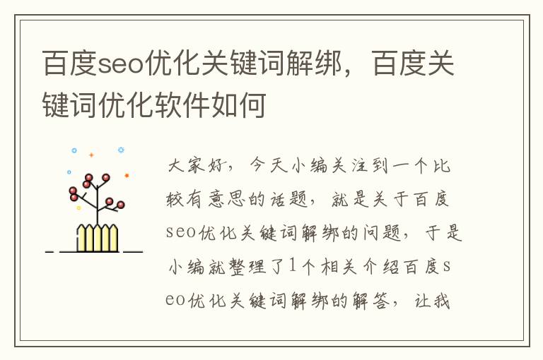 百度seo优化关键词解绑，百度关键词优化软件如何