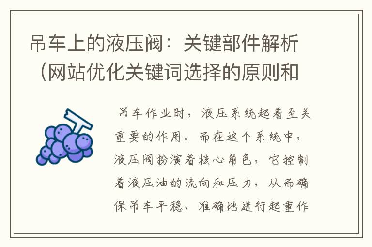 吊车上的液压阀：关键部件解析（网站优化关键词选择的原则和方法）