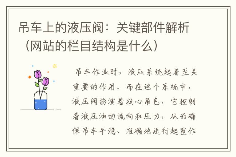 吊车上的液压阀：关键部件解析（网站的栏目结构是什么）