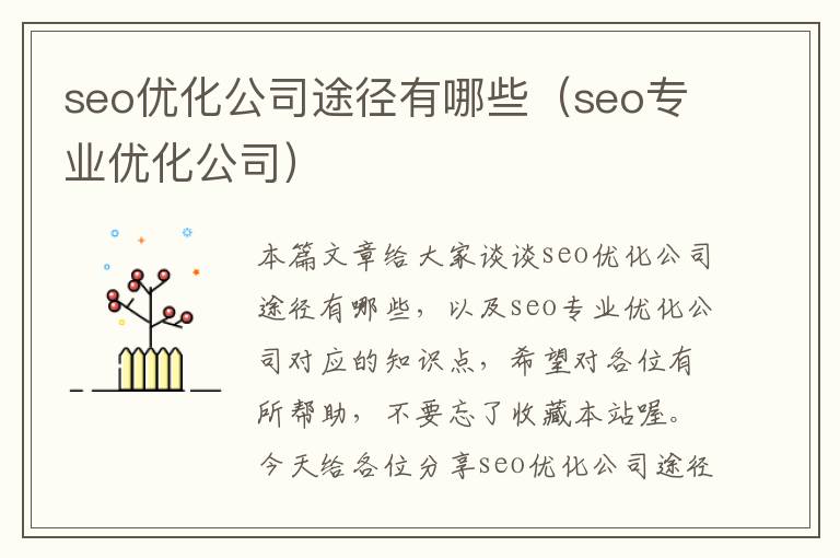 seo优化公司途径有哪些（seo专业优化公司）