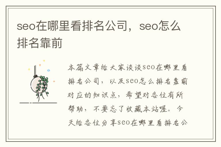 seo在哪里看排名公司，seo怎么排名靠前