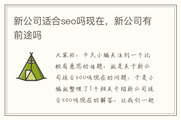 新公司适合seo吗现在，新公司有前途吗