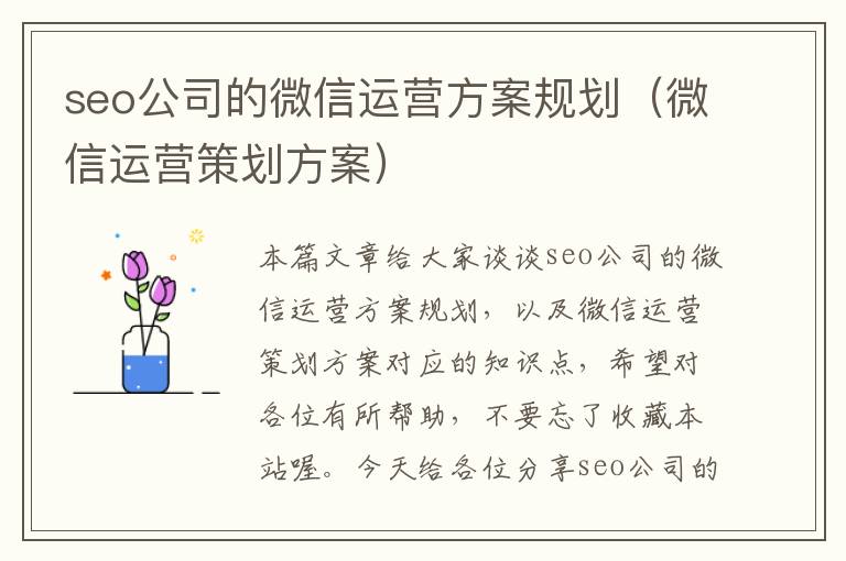 seo公司的微信运营方案规划（微信运营策划方案）