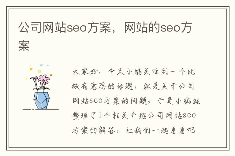 公司网站seo方案，网站的seo方案