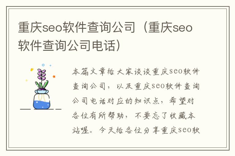 重庆seo软件查询公司（重庆seo软件查询公司电话）