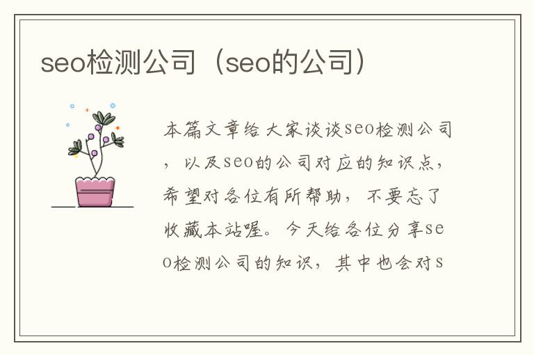 seo检测公司（seo的公司）