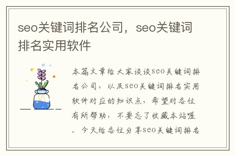 seo关键词排名公司，seo关键词排名实用软件