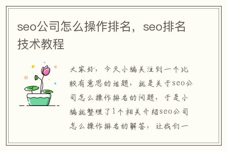 seo公司怎么操作排名，seo排名技术教程