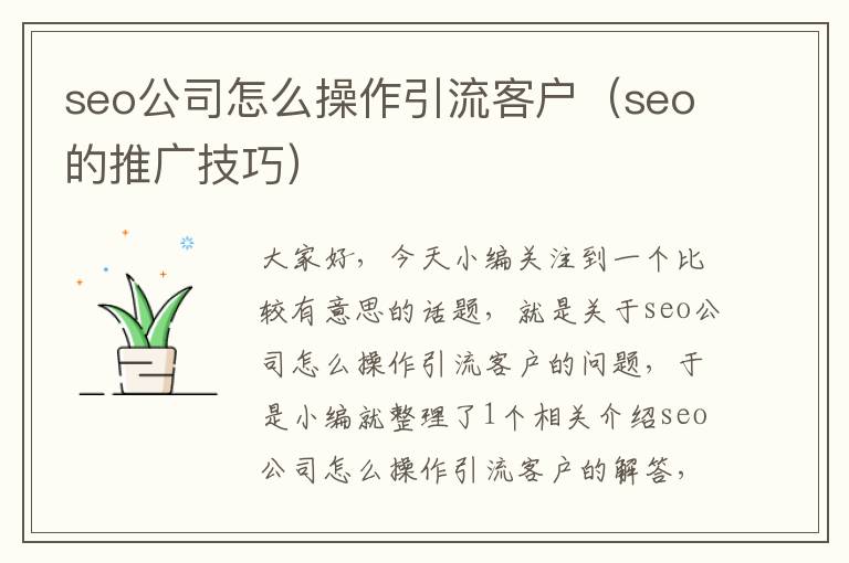 seo公司怎么操作引流客户（seo的推广技巧）