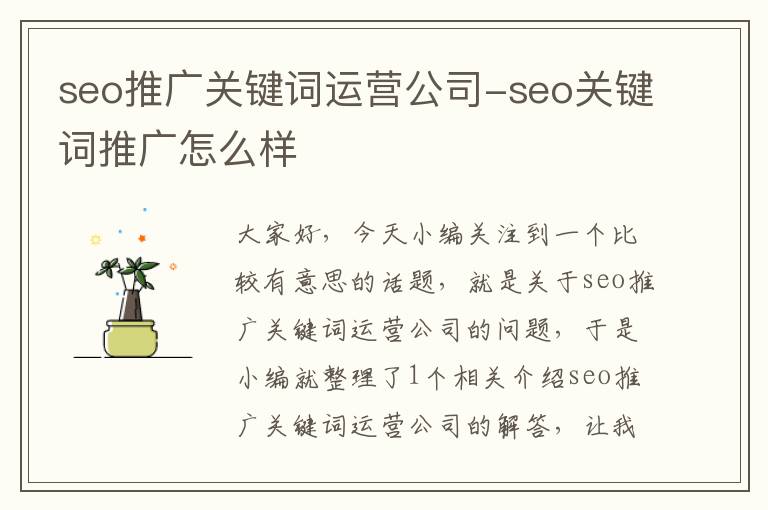 seo推广关键词运营公司-seo关键词推广怎么样