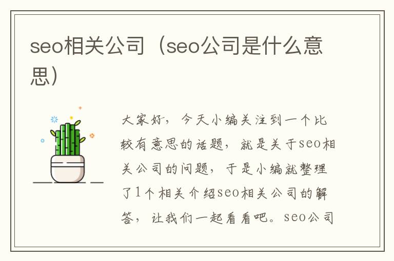 seo相关公司（seo公司是什么意思）