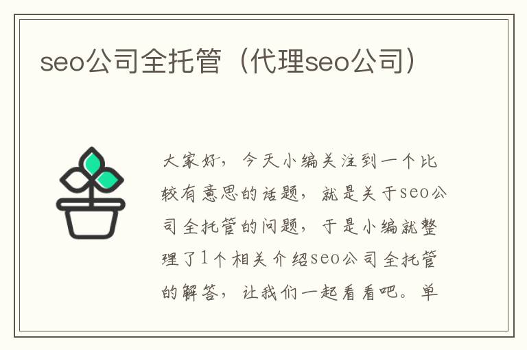 seo公司全托管（代理seo公司）