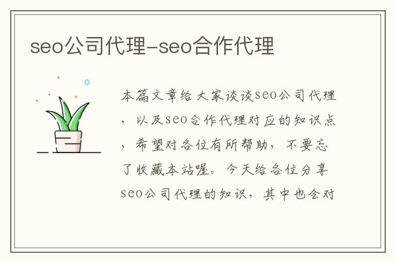 seo公司代理-seo合作代理