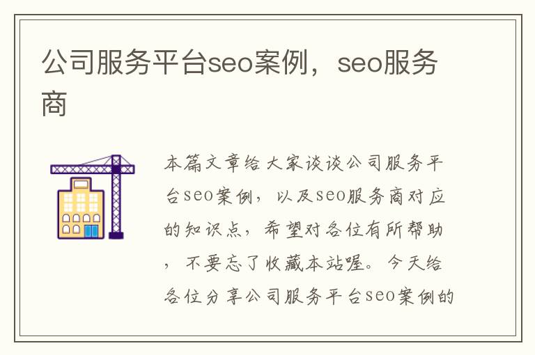 公司服务平台seo案例，seo服务商