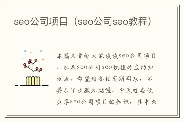 seo公司项目（seo公司seo教程）