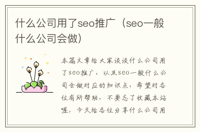 什么公司用了seo推广（seo一般什么公司会做）