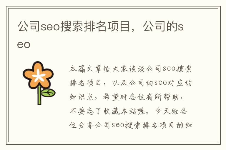 公司seo搜索排名项目，公司的seo