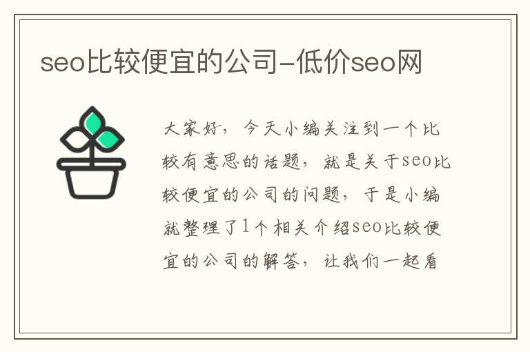 seo比较便宜的公司-低价seo网