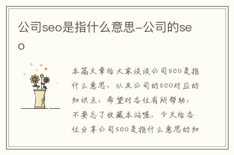 公司seo是指什么意思-公司的seo