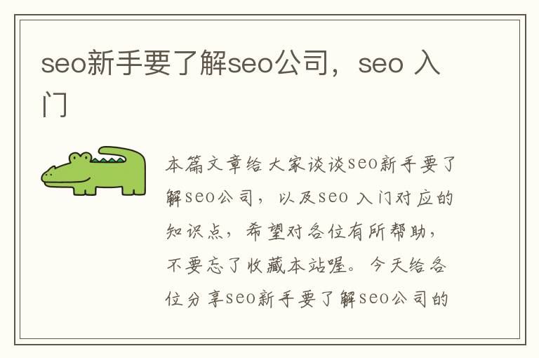 seo新手要了解seo公司，seo 入门