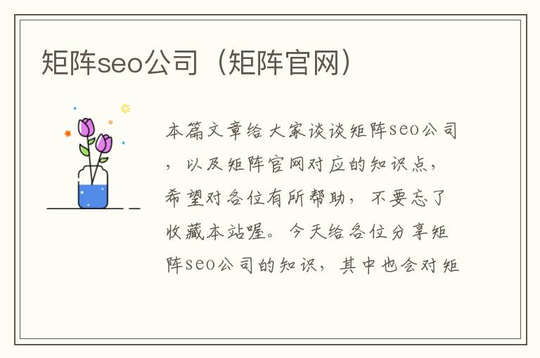 矩阵seo公司（矩阵官网）